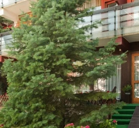 Majerik Hotel