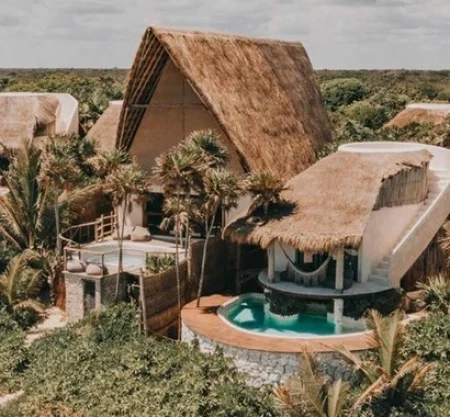 Papaya Playa Project