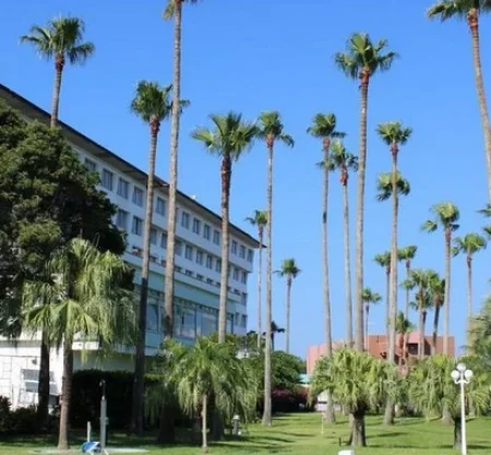 Ibusuki Phoenix Hotel